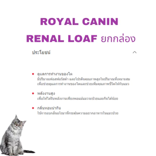 Royal canin cat renal Loaf (exp 02/2028)อาหารแมวโรคไตแบบซองเนื้อโลฟ (ละเอียด) 85 g 12ซอง
