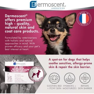 ATOP 7 Spot-On 🐶🐱 (Dermoscent) นํ้ามันบำรุงผิวชนิดหยดหลัง สำหรับโรคภูมิแพ้ผิวหนัง ลดคัน ในสุนัขและแมว
