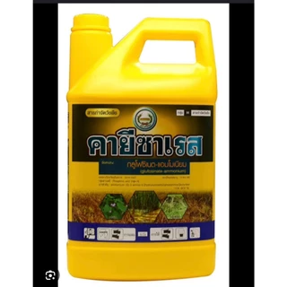 คายีซาเรส หวีทอง ขนาด 4 ลิตร กลูโฟซิเนต-แอมโมเนียม กำจัดวัชพืชใบแคบ-ใบกว้าง กูโฟซิเนต คายีซาเรสยกลัง มาคายียกลัง มาคายี