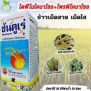 ซันคูเร่ ไดฟีโนโคนาโซล+โพรพิโคนาโซล ขนาด 1 ลิตร สารเดียวกับอามูเร่ ป้องกันโรคเมล็ดด่าง ราดอกกระถิน ไดฟีโน่ ไดฟีโคนาโซล