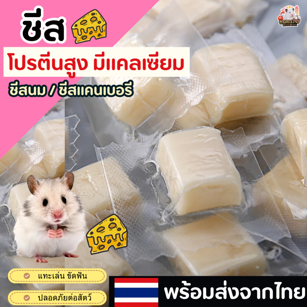 ชีส cheese ชีสขาว สำหรับแฮมเตอร์ เม่น กระรอก สุนัข และสัตว์เล็ก โปรตีนสูง