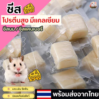 ชีส cheese ชีสขาว สำหรับแฮมเตอร์ เม่น กระรอก สุนัข และสัตว์เล็ก โปรตีนสูง