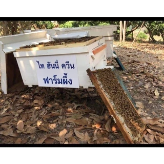 น้ำผึ้งป่าเดือน 5 ตราไทฮันนี่ (สติ๊กเกอร์คัดพิเศษ) ชุด 2 ขวด