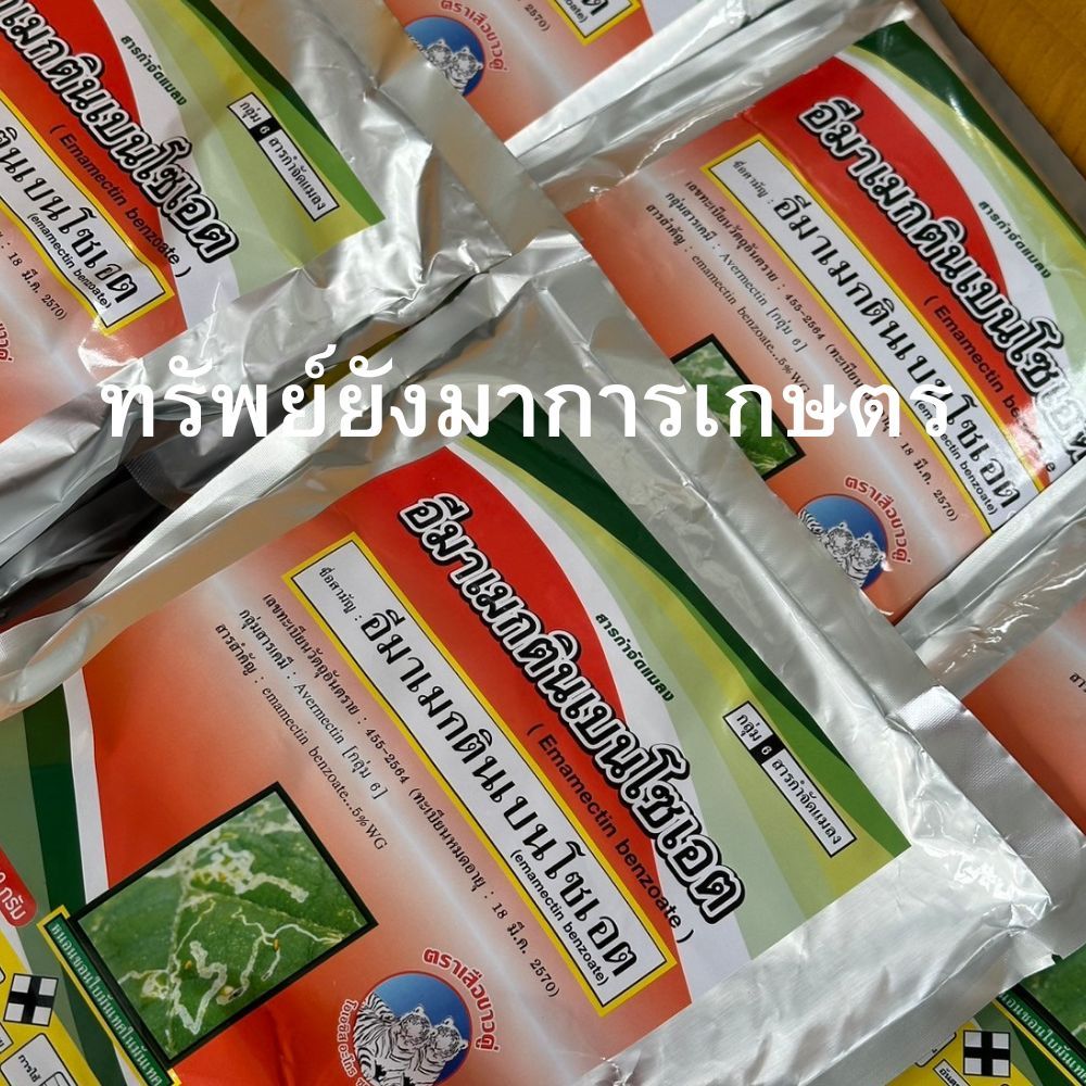 อีมา เมกตินเบนโซเอต 5 WG 1 กิโลกรัม เสือขาวคู่ ออกฤทธิ์สัมผัสและดูดซึม ป้องกัน กำจัด หนอนเจาะฝัก หนอนชอนใบ ในมันเทศ