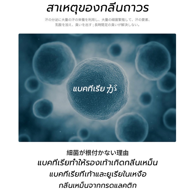 ดับกลิ่นรองเท้า 260MLเท้าเหม็น สเปรย์ดับกลิ่นรองเท้า สเปรย์ดับกลิ่น ดับกลิ่นเท้า ให้รองเท้าสะอาดป้องกันเท้าเหม็น