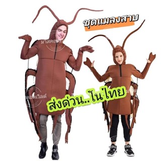ชุดแมลงสาบ ชุดแมลงสาบเด็ก ชุดแมงสาบ ชุดแมลงสาบผู้ใหญ่ ชุดฮาโ…