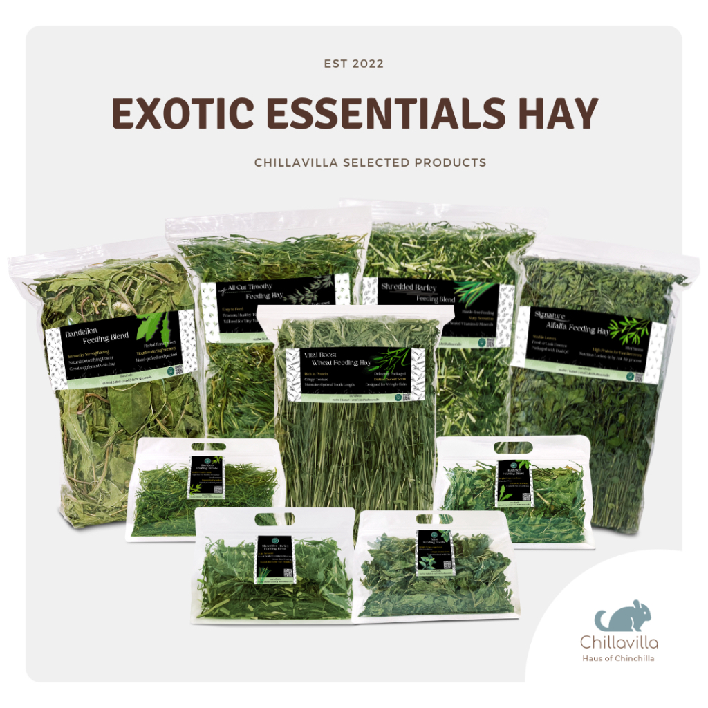 Chillavilla | หญ้าพรีเมียมอบร้อนแบรนด์ Exotic Essentials