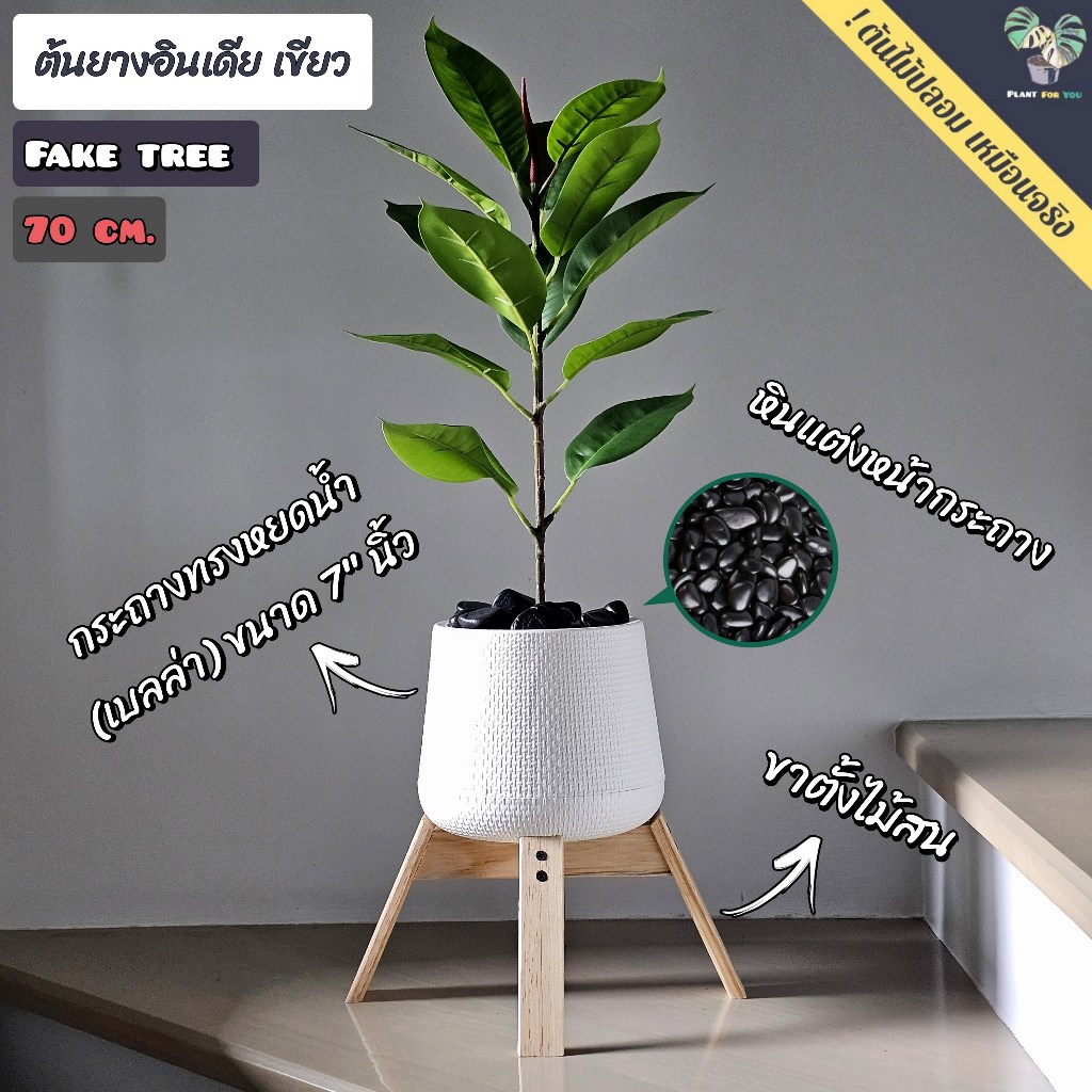 ต้นไม้ปลอม ต้นยางอินเดีย  หลายแบบ (Fake tree) 70cm. 12ใบ  ครบชุดพร้อมโชว์ พร้อมส่งในไทย🇹🇭