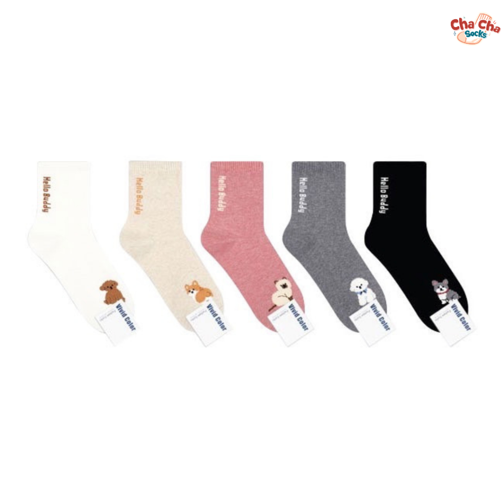 Chacha socks - ถุงเท้าข้อยาว Doggy Buddy Socks แบรนด์ Vivid Color นำเข้าจากเกาหลี