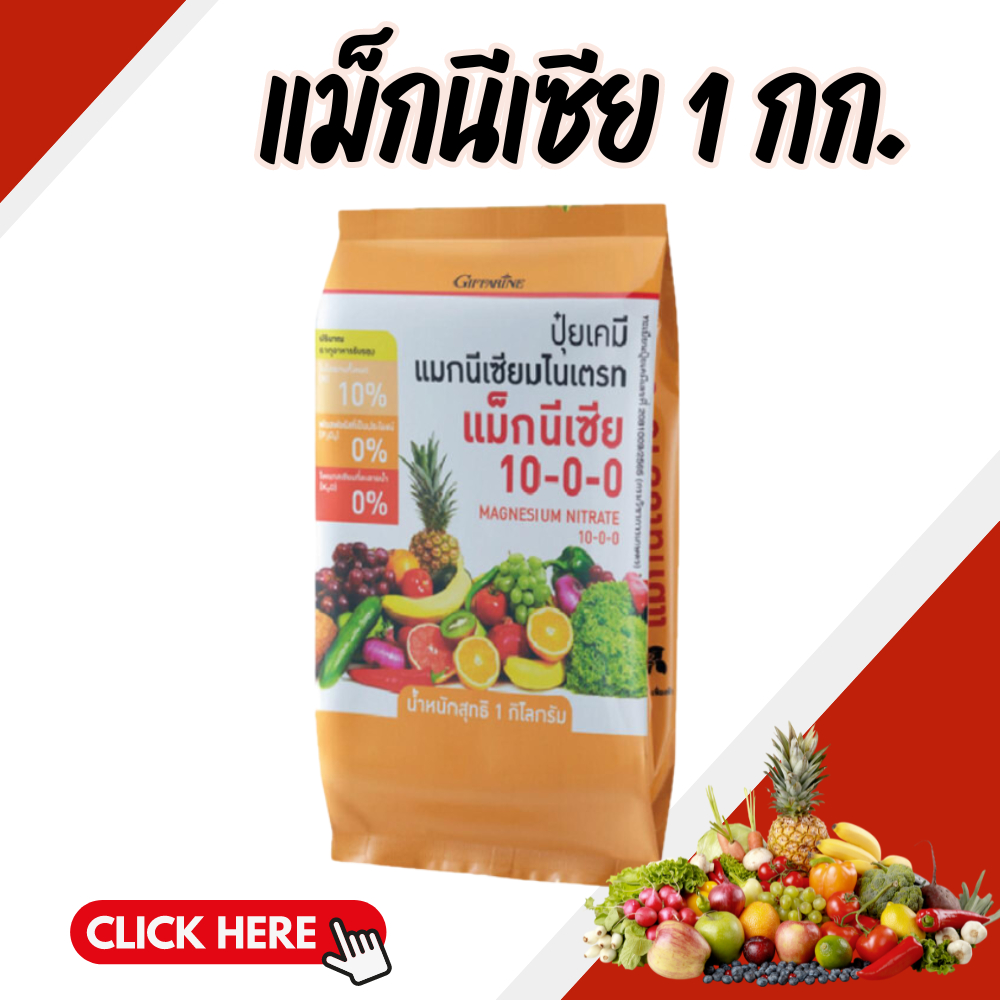 ปุ๋ยกิฟฟารีน แมกนีเซีย ( 1กิโลกรัม ) แมกนีเซียม และ ไนเตรท ละลายน้ำได้ 100%