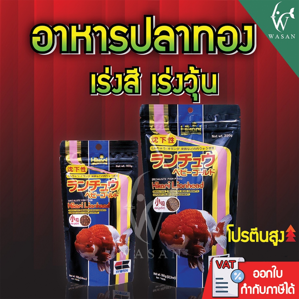 อาหารปลา Hikari Lionhead ขนาด 100g อาหารสำหรับปลาทองหัวสิงห์ หัววุ้น ชนิดเม็ดจม  เร่งวุ้น เร่งสี