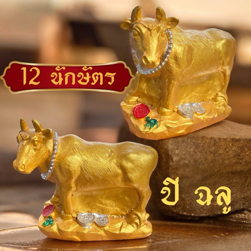 รูปปั้น ปูนปั้น ปีฉลู ปีวัว วัวอยู่บนกองเงินกองทอง 12นักษัตร เสริมดวง แก้ชง แก้ฮวงจุ้ย ปูนปั้นสีทอง
