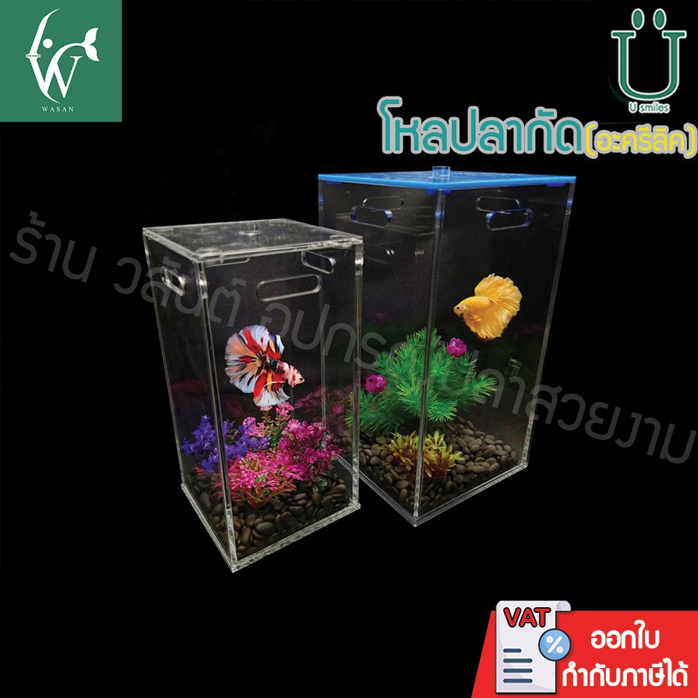 โหลปลากัดอะครีลิคพร้อมฝา หนา 4 มิล แข็งแรง ทนทาน By วสันต์อุปกรณ์ปลาสวยงาม
