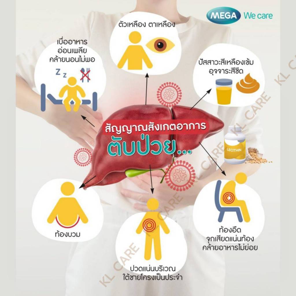 Lecithin 1200 mg เลซิติน บำรุงตับ ลดไขมันพอกตับ ตับอักเสบ ล้างพิษตับ MEGA 100 แคปซูล ของแท้100% ราคา ถูกที่สุด ดีลบีเคเค แกลเลอรีภาพที่ 4