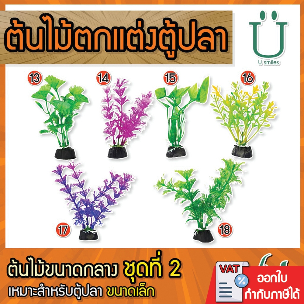 ต้นไม้ขนาดกลาง 15 บาท ไว้ตกแต่งตู้ปลา (ชุดที่ 2) (ถูกที่สุด🔥 ดีที่สุด🔥) BY วสันต์อุปกรณ์ปลาสวยงาม(5)