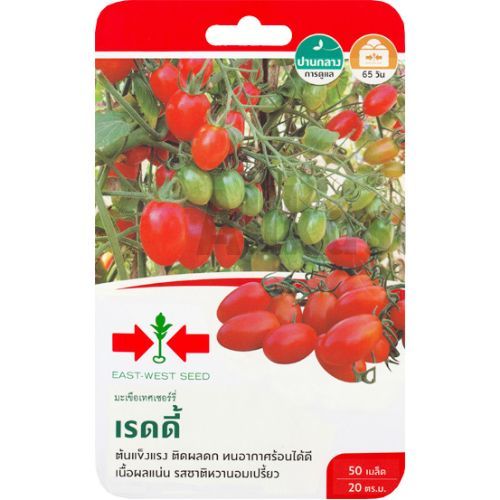 เมล็ดมะเขือเทศเชอร์รี่ เรดดี้