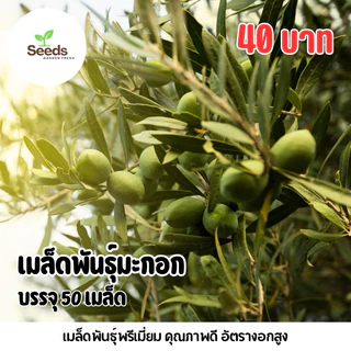 เมล็ดพันธุ์ มะกอก บรรจุ 50 เมล็ด [Seeds Garden Fresh]