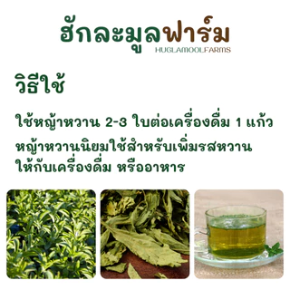 หญ้าหวาน ไทย ออร์แกนิค 25กรัม ตราฮักละมูลฟาร์ม Organic Stevia ชาหญ้าหวาน