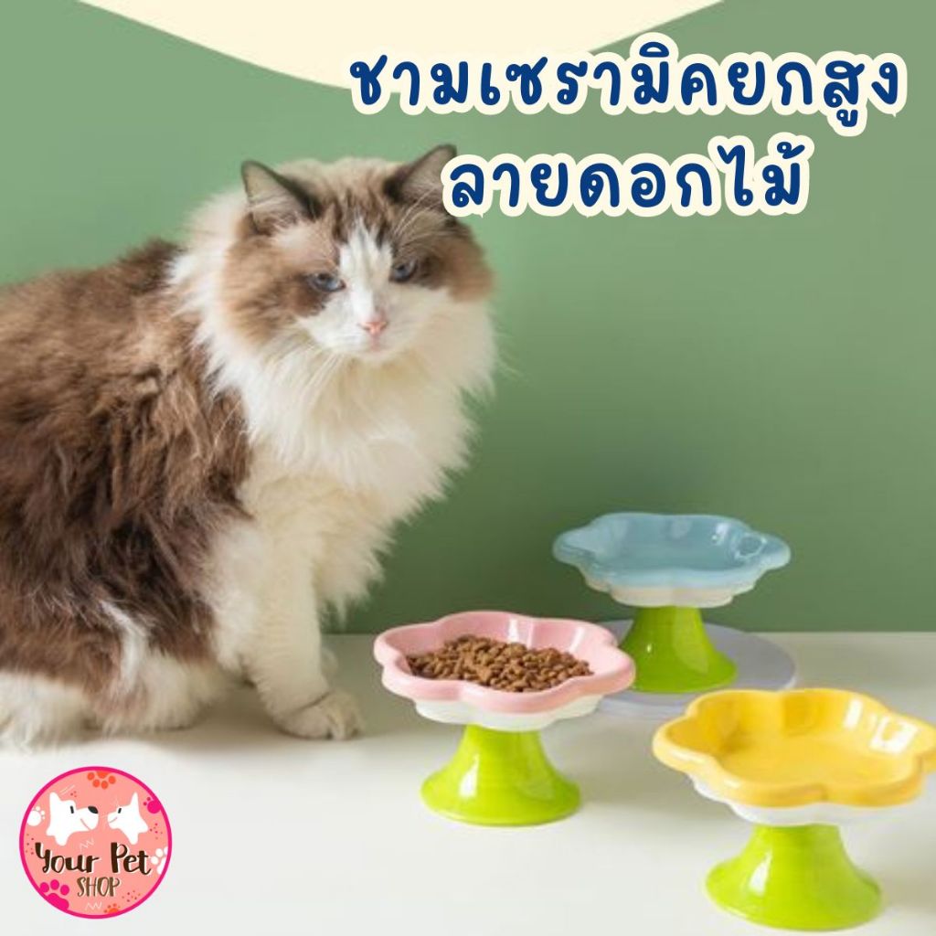 ชามเซรามิคยกสูงลายดอกไม้ แมว หมา สุนัข สัตว์เลี้ยง เซรามิก Bowl 15cm สูง 8.6cm