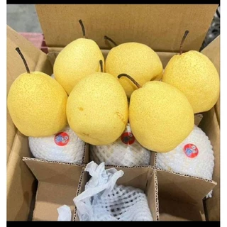 (1kg.)สาลี่น้ำผึ้ง ผลไม้มงคล หวาน กรอบ อร่อย แช่เย็นชื่นใจ