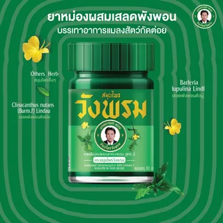 Wangpromherb สมุนไพรวังพรม ยาหม่องผสมเสลดพังพอน สูตร2 ขนาด 50 กรัม ( 3 ขวด)