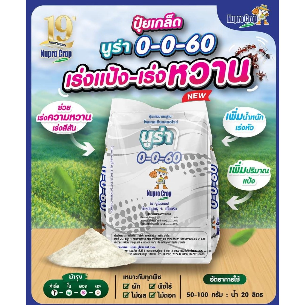 ปุ๋ยเกล็ดนูร่า 0-0-60 บรรจุ 1 กิโลกรัม (สูตรเร่งแป้ง-เร่งหวาน-เร่งหัว)