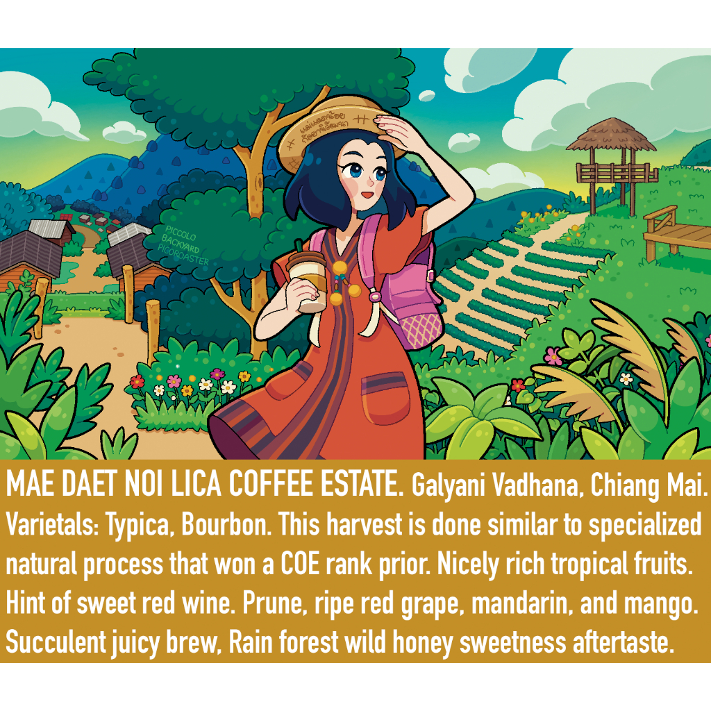 เมล็ดกาแฟคั่ว แม่แดดน้อย กัลยานิวัฒนา เชียงใหม่