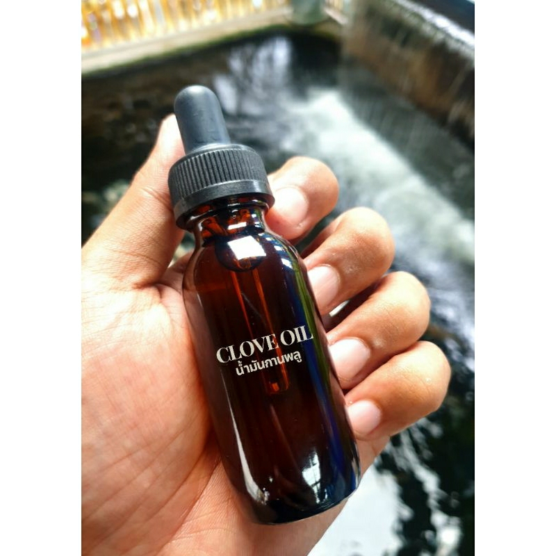 น้ำมันกานพลู (Clove Oil) สำหรับวางยาสลบปลา