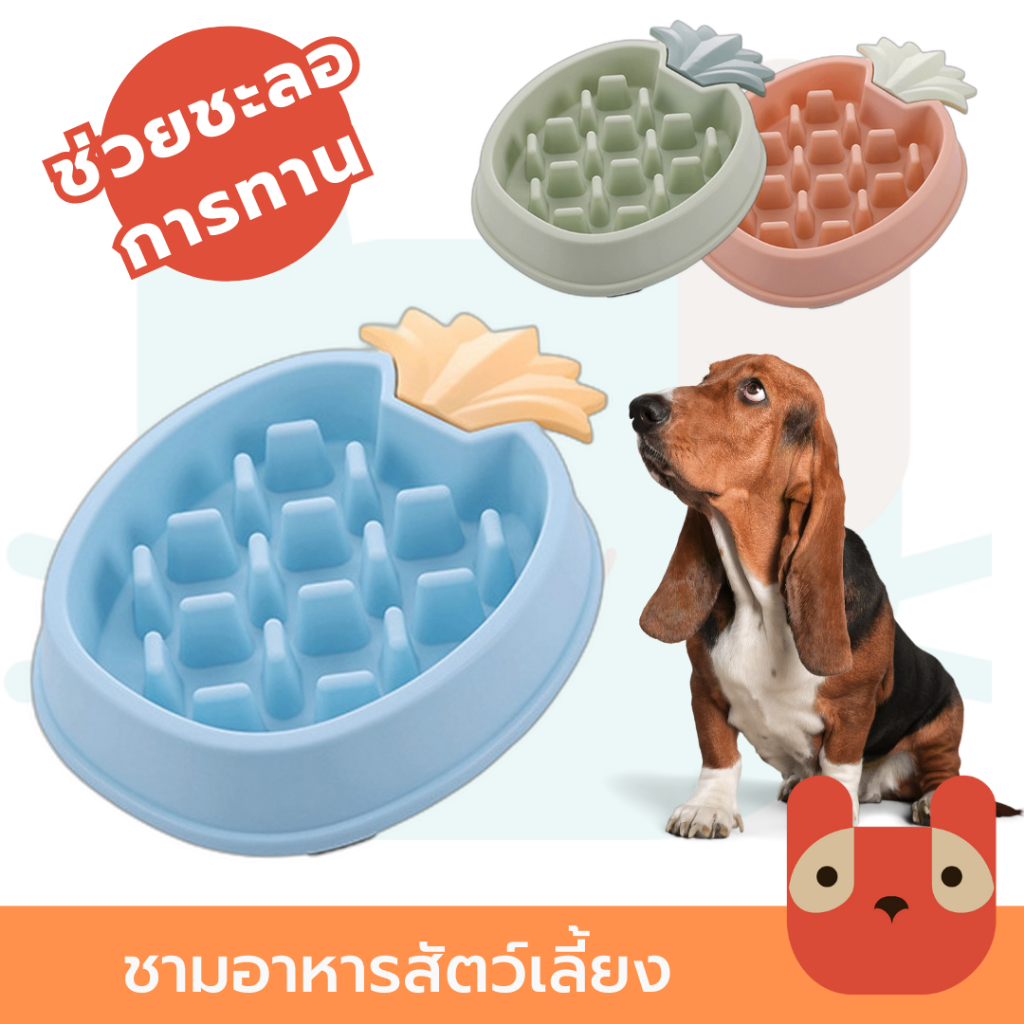 ชามอาหารสำหรับการชะลอทานของสัตว์เลี้ยง รูปสับปะรด