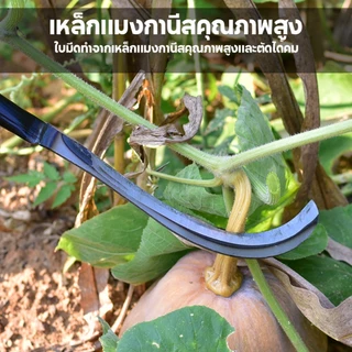 เคียวแมงกานีส เคียวเหล็กแมงกานีส เคียวเกี่ยวหญ้า เคียวเกี่ยวข้าว มีดถางหญ้า คียวตัดกิ่งไม้