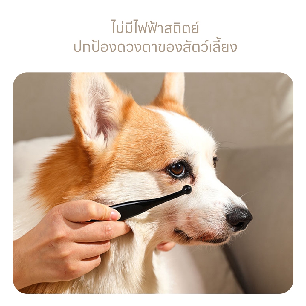 รูปภาพ 6