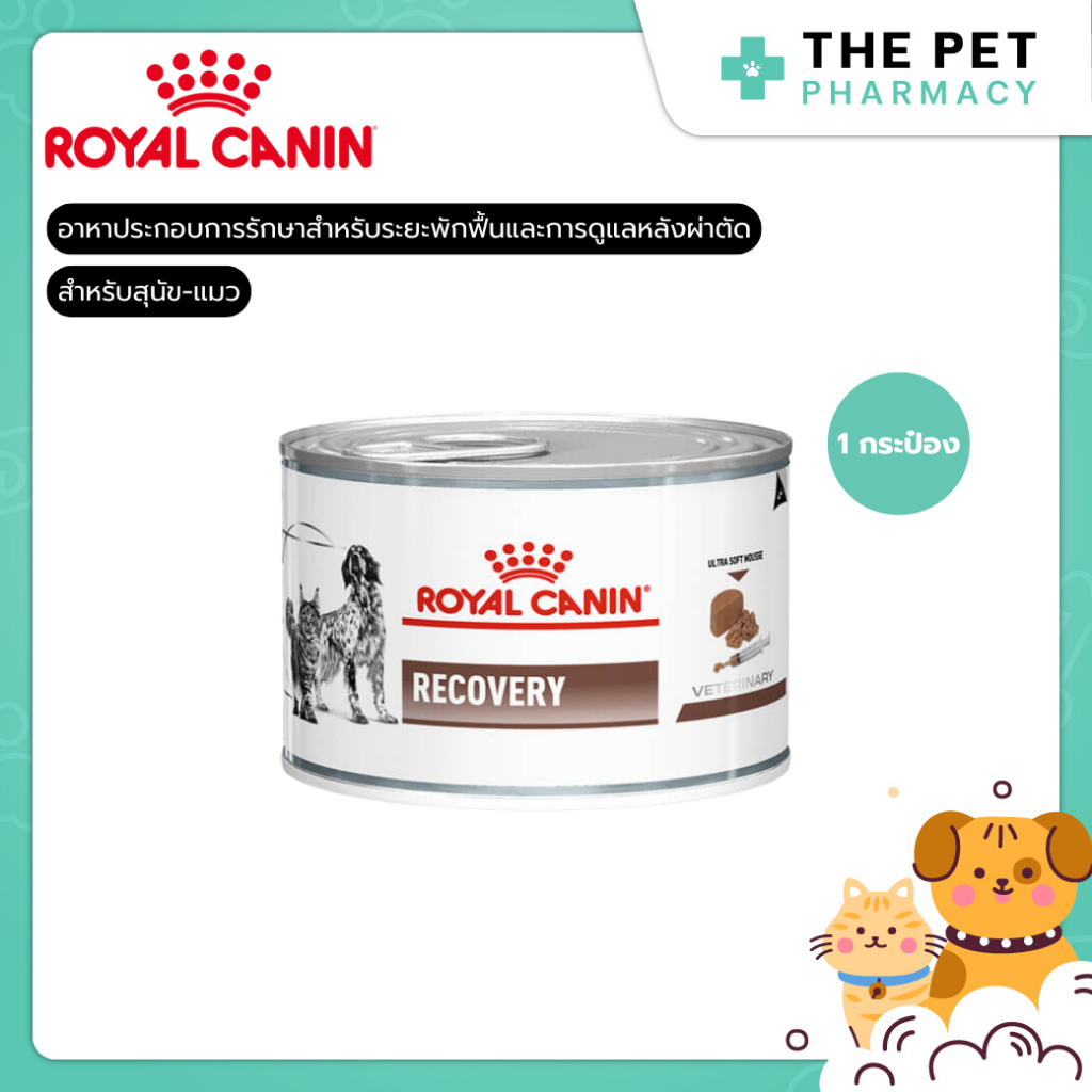Royal Canin Recovery For Dog And Cat 195g. สำหรับระยะพักฟื้นและการดูแลหลังผ่าตัด ชนิดเปียก