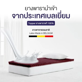 Midas ที่นอนยางพาราแท้ 100% ลดแรงกดทับ - Latex Made In Belgium ส่งฟรี