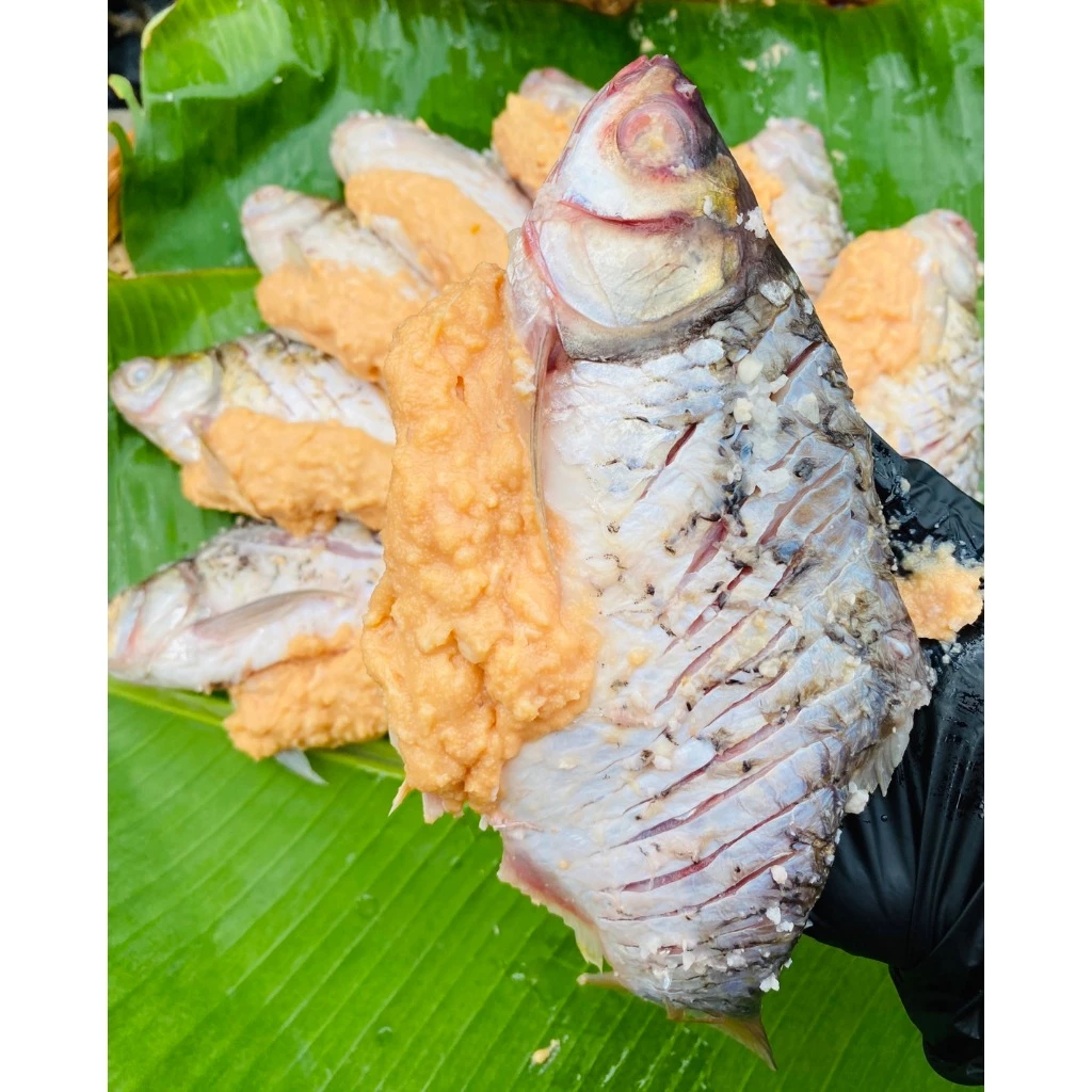ปลาส้มตะเพียนไข่ทะลัก ตัวใหญ่อร่อย