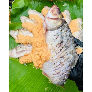 ปลาส้มตะเพียนไข่ทะลัก ตัวใหญ่อร่อย