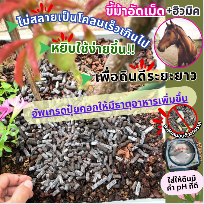 รอส่ง3วัน ขี้ม้าอัดเม็ด+อะมิโนฮิวมิค อัพเกรดธาตุอาหาร ขี้ม้า100% ไม่ผสมวัสดุอื่น หมักกำจัดไข่แมลงแล้ว