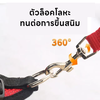 yoyopet : สายจูงสัตว์เลี้ยง หมา แมว สายรัดสัตว์เลี้ยง ชุดเสื้อตาข่ายพร้อมสายจูง มีหลายขนาดให้เลือก