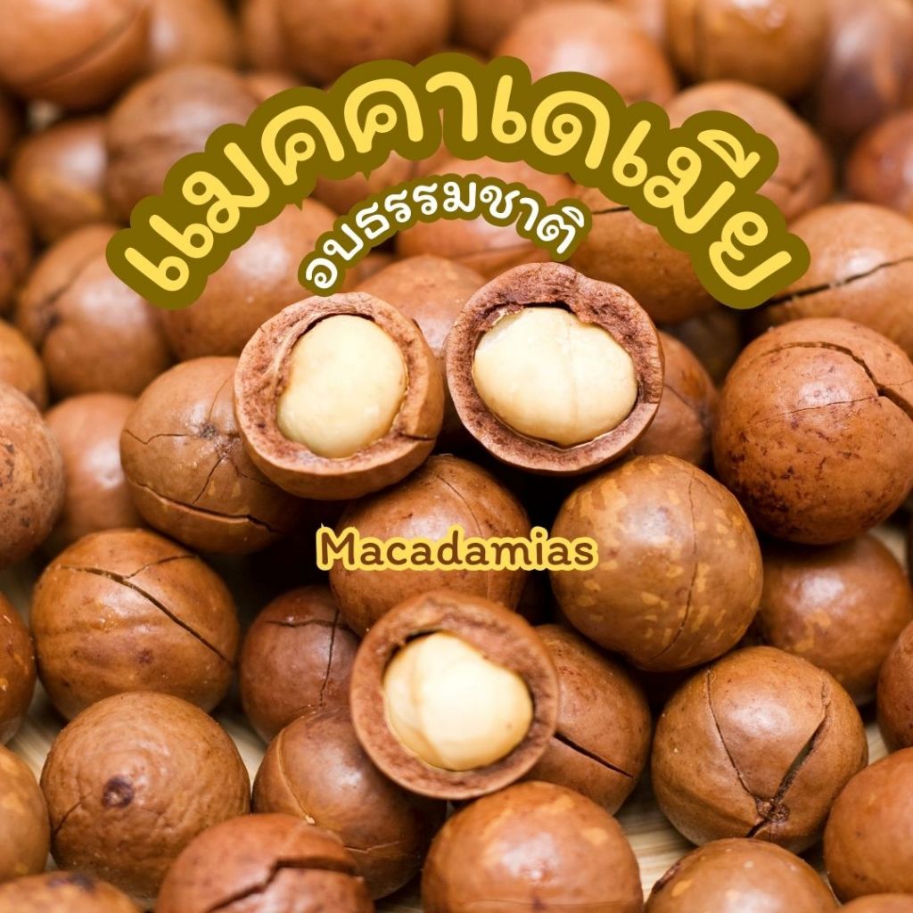 ถั่วแมคคาเดเมีย 500g  อบธรรมชาติ +ฟรีที่เเกะ Macadamia เม็ดใหญ่เม็ดเต็ม ผลไม้อบแห้ง เคี้ยวเพลิน ผลไม้อบแห้ง ของกินอร่อย
