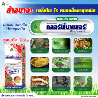 คลอร์ฟีนาเพอร์ ยาฆ่าหนอน เพลี้ยไฟ ไรแดง หนอนกระทู้ข้าวโพด หนอนกระทู้ผัก หนอนเจาะผล หนอนเจาะดอก เอเจนต้า คอร์ป (1 ลิตร)