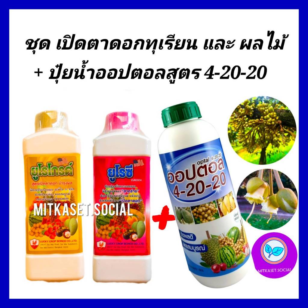 ชุด เปิดตาดอกทุเรียน กระตุ้นออกดอก สาหร่าย+อะมิโน ยูโรซี+ยูโรโกรด์1ลิตร+ปุ๋ยน้ำ4-20-20 1 Lกระตุ้นให้