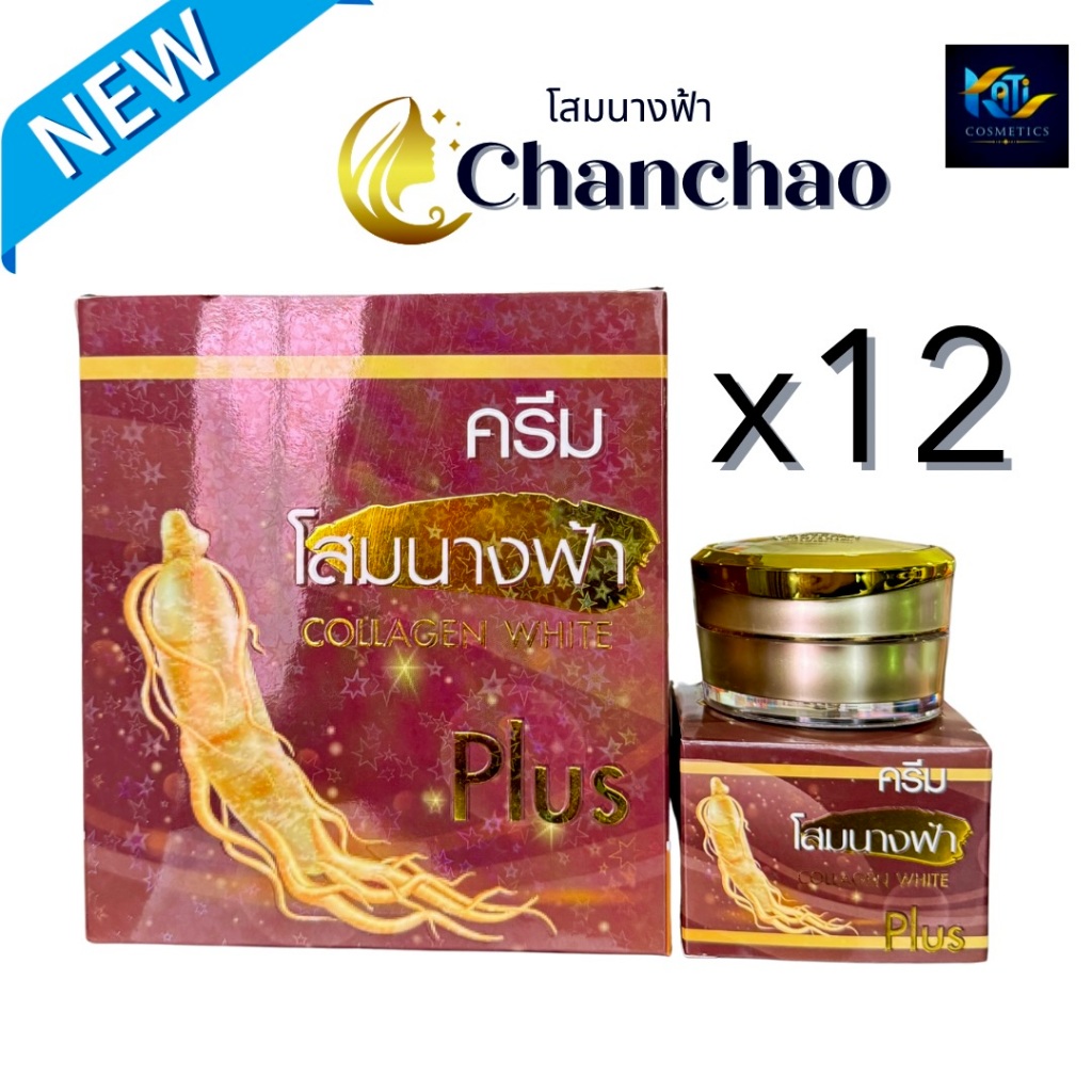 ครีมโสมนางฟ้า จันทร์เจ้า ไนท์ครีม ( ยกโหล 12 กล่อง ) Chanchao Som Nang Fah Collagen Ginseng ครีมกลางคืน 20 g.