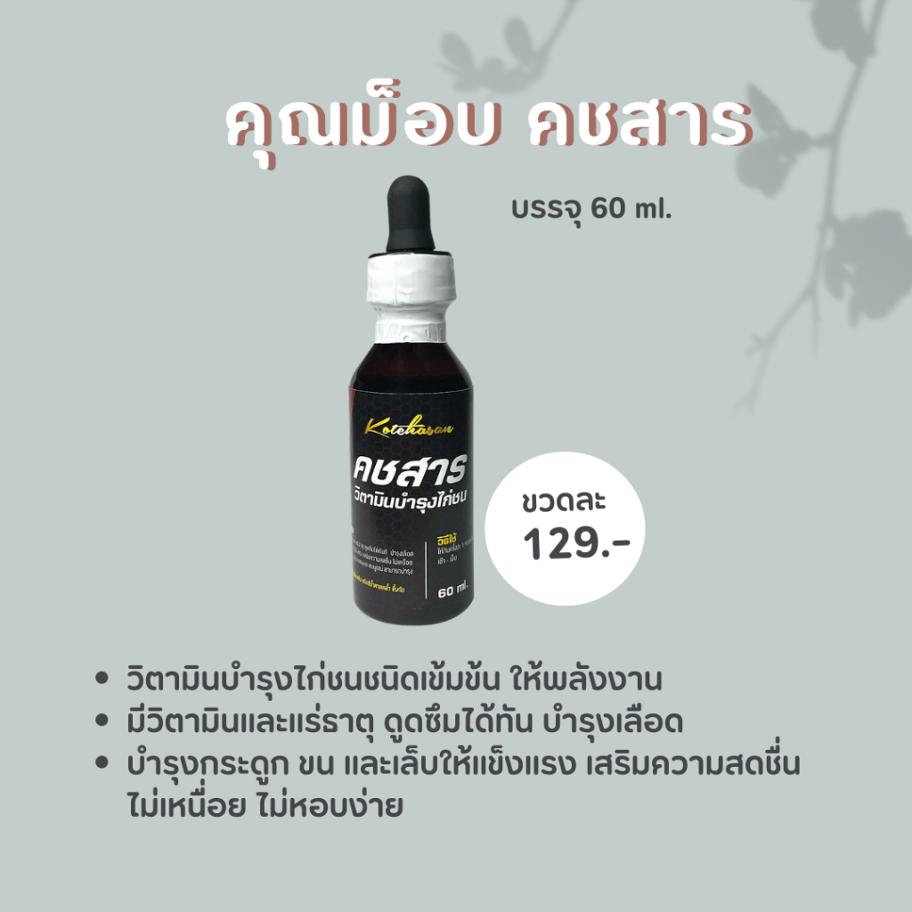คชสาร คชสารคุ ณม็อ บสำหรับไก่ชน