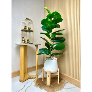 ต้นไม้พร้อมกระถาง ชุด(กระถาง7นิ้ว+ต้นไม้70ซม.+ขากระถาง8นิ้ว)…