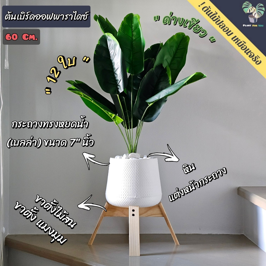 ต้นไม้ปลอม ต้นเบิร์ดออฟพาราไดซ์ปลอม พร้อมกระถางเบลล่า7"นิ้ว+หินแต่งหน้ากระถาง+ขาตั้ง  สินค้าพร้อมจัดส่งในไทย🇹🇭
