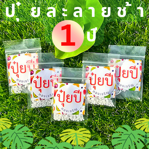 ปุ๋ยปี ปุ๋ยละลายช้า 1 ปี ถูกที่สุด10 บ. ใ่ส่ครั้งเดียวอยู่ได้นาน1 ปี บำรุงพืชงาม ผักงาม ไม้ยืนต้น