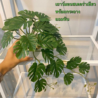 (พร้อมส่ง)เถาวัลย์ใบไม้ประดิษฐ์ เถาวัลย์ไม้เลื้อย เถาวัลย์ต้นไม้เสมือนจริง ใช้ตกแต่งฝาผนังบ้าน ร้านอาหารคาเฟ่