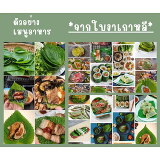 เมล็ดใบงาเกาหลีของแท้ 70-80เมล็ด พร้อมสอนปลูกทุกขั้นตอน #แกนิบ 깻잎 #ใบงาเกาหลี #Gaennip #KoreanPerilla