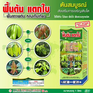 ฟื้นต้น เร่งแตกใบ แตกกิ่ง แตกยอด ฟื้นต้นโทรม หลังเก็บเกี่ยว …