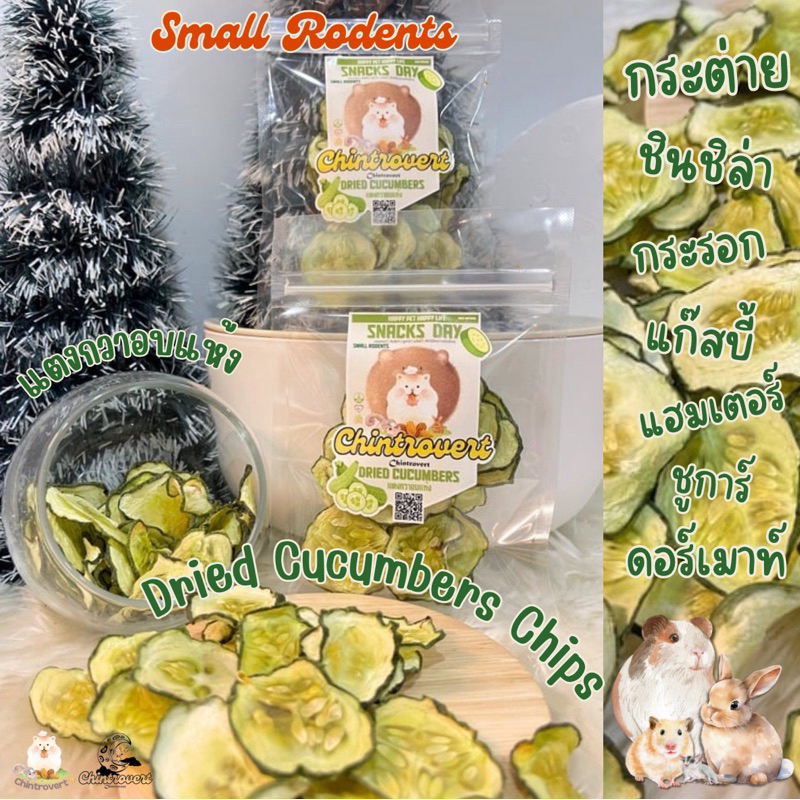 Chintrovert ✨| Dried Cucumber แตงกวาอบแห้ง 5g. | กระต่าย ชินชิล่า แฮมเตอร์ แฟตเทล ดอร์เมาท์ ชูการ์