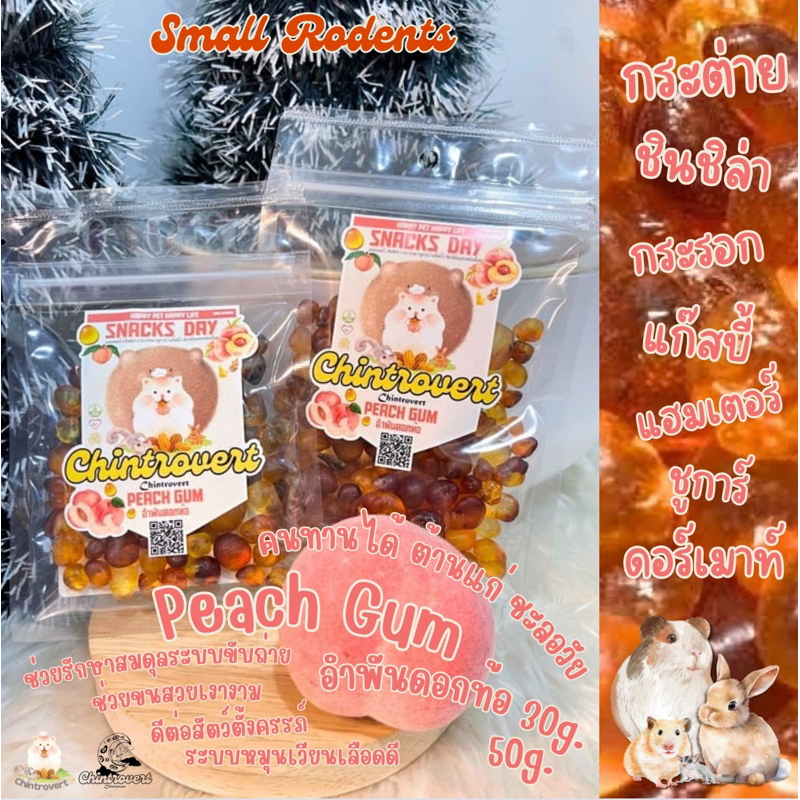 Chintrovert ✨| Peach gum อำพันดอกท้อ คนทานได้ต้านแก่ | กระต่าย ชินชิล่า แฮมเตอร์ แฟตเทล ดอร์เมาท์ ชูการ์